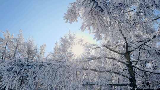 雾凇 冰挂 大雪阳光