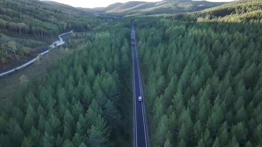 森林公路  航拍开车 航拍 山林驾驶汽车 4k