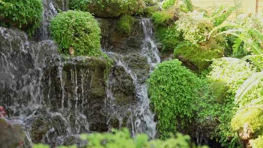 岩石 溪流 瀑布 小溪 流水