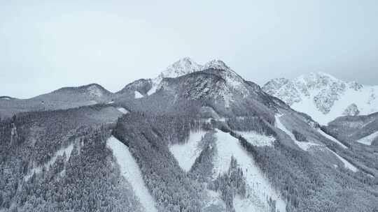 白雪皑皑的奥地利阿尔卑斯山的远处鸟瞰图。巨大的山脉。