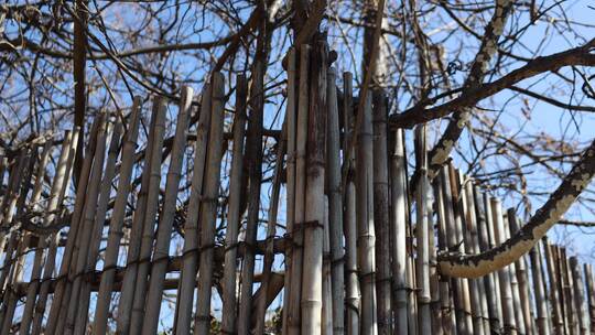 竹子栅栏高清素材