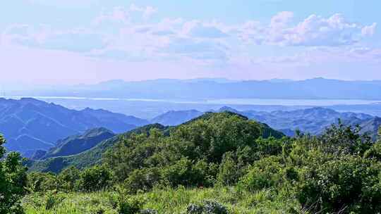 夏季蓝天白云绿色大山山顶全景风光