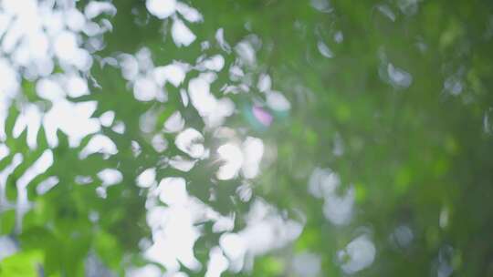 阳光唯美夏日空镜合集