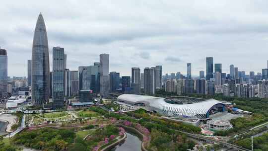 多云阴天的深圳湾城市景观航拍