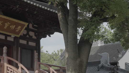 苏州寒山寺 寒山寺