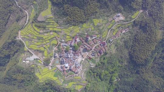 衢州市衢江区东平村