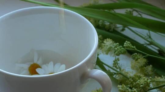 水倒入放着白色菊-花的杯子里