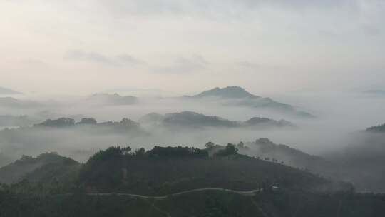 云雾缭绕的山峰