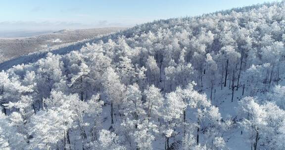 零下40度的低温航拍大兴安岭冰雪雾凇