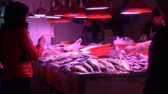 市场 菜市场 购物 采购 展销 海鲜市场视频素材模板下载
