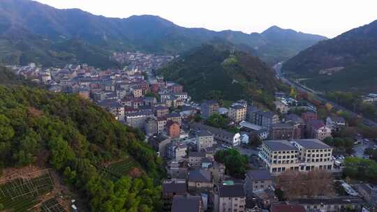 东穆坞村 留下街道 茶山 茶叶 茶山