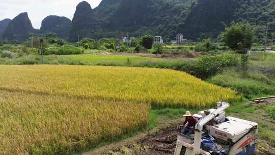 航拍遇龙河畔稻田秋收乡村振兴农业机械丰收