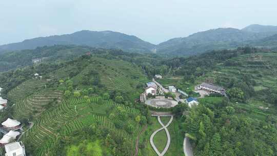 平阳茶山