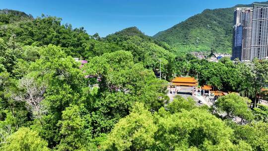 4k深圳仙湖仙湖植物弘法寺合集