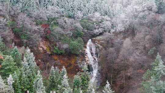 雪景雾凇云海