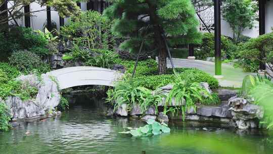 中式园林中小石拱桥视频素材模板下载