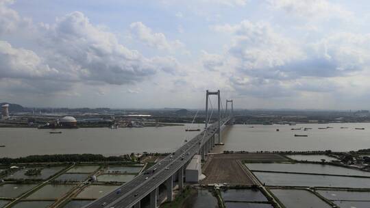 南沙大桥 广州 珠三角 桥梁 交通 大湾区视频素材模板下载
