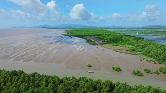 4k广东江门滨海新区银湖湾湿地红树林航拍