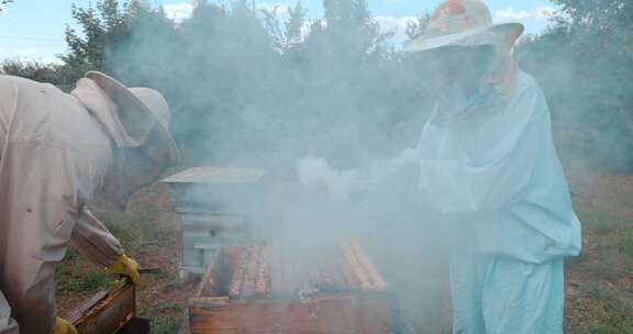 蜂蜜农民检查蜂箱并使用吸蜂器