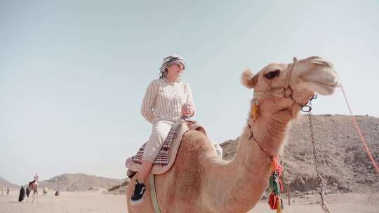 沙漠骑骆驼 骆驼视频素材模板下载