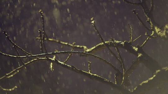 夜景下雪升格视频素材模板下载