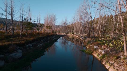 冬季小河边枯树清澈河水昆明入滇河道视频素材模板下载