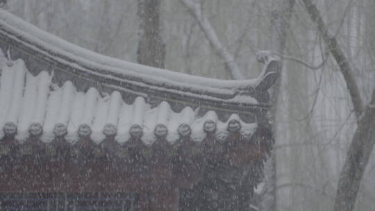 冬季雪景 城市初雪 下雪空镜