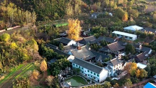 陕西省西安市古观音禅寺银杏树航拍