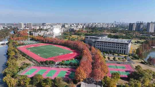 上海秋天 复旦大学 体育场 学校梧桐