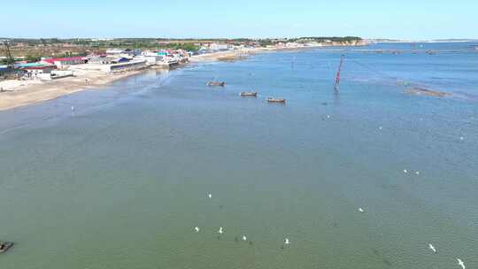 航拍大连海岸线沿海风光