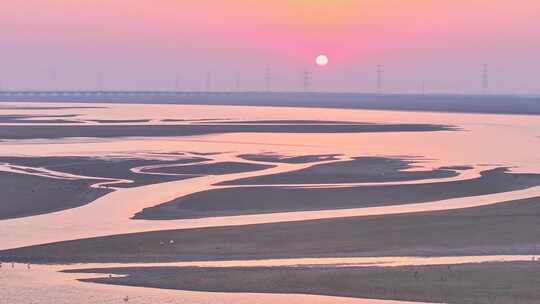 江西鄱阳湖生命之树景观空中俯瞰