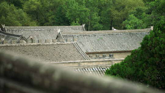 寺庙 古建筑 佛光寺  阿莱 AMIRA