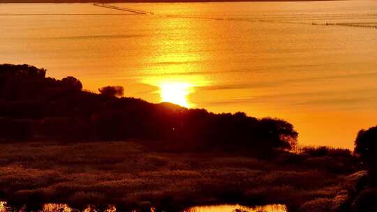 航拍落日夕阳湖边风力发电渔业养殖能源生态