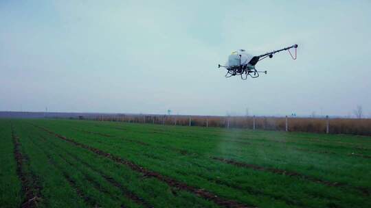 无人机麦田喷洒农药 农业植保 无人机飞防