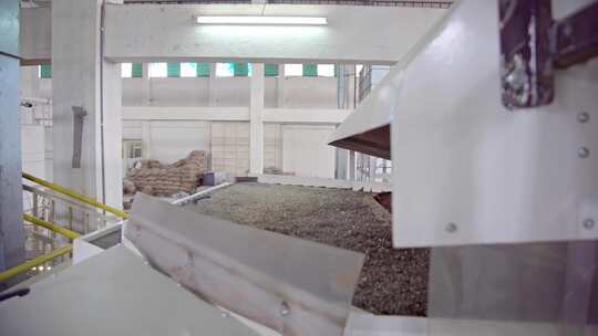 咖啡种植生产基地视频素材模板下载