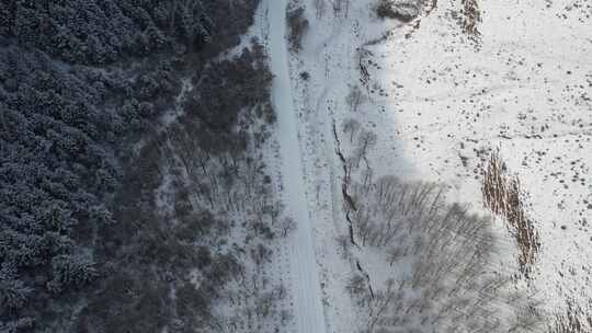 青海互助龙王山树木雪山航拍视频