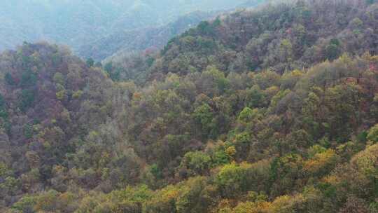 秦岭山脉秋季风景云海