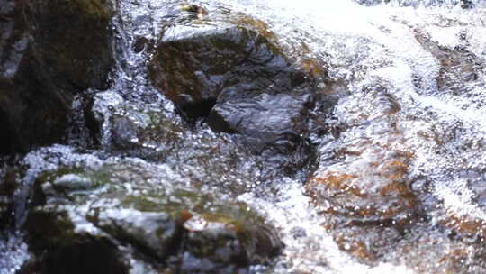 清澈的山涧溪水视频素材模板下载