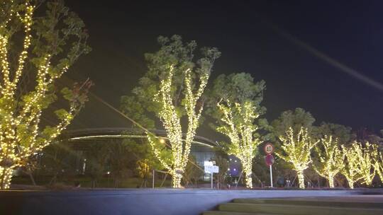 孤独 夜景 街头 徘徊 霓虹灯