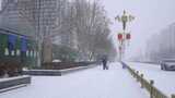 4k北方城市下大雪人行道上的行人高清在线视频素材下载