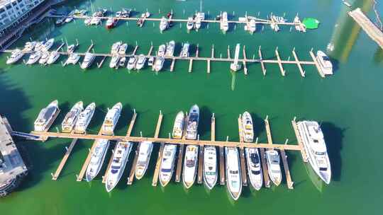 深圳湾游艇会大楼游艇海航拍停泊港游船太子视频素材模板下载