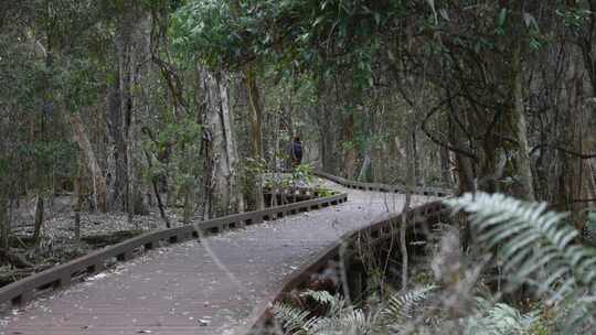 女性背包客旅行者走在黄金海岸，澳大利亚公