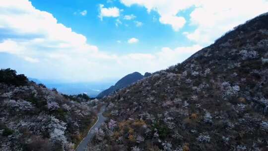 治愈系风景航拍，感受下这座城市的繁荣景象