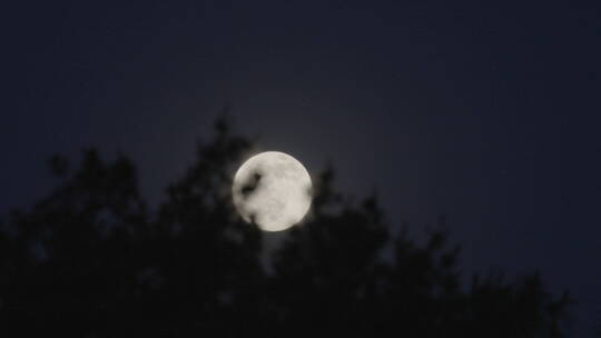 月亮升起 诗意月亮