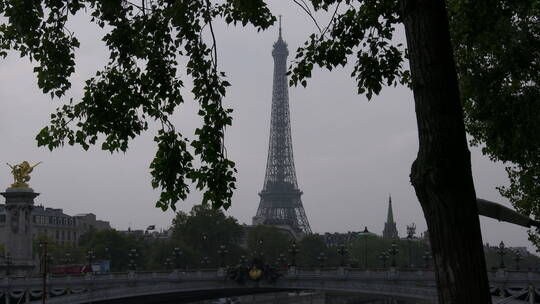 树后面的巴黎埃菲尔铁塔