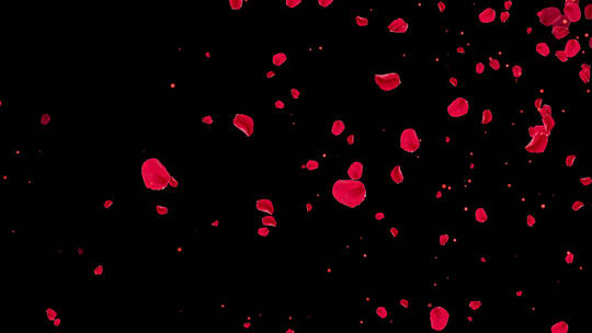 4K红色花瓣粒子飘扬通道视频-循环2