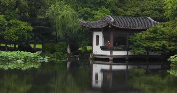 杭州西湖十景曲院风荷初夏风光