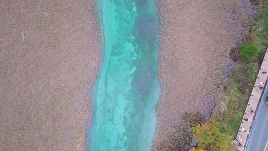 唯美航拍川西九寨沟芦苇海河流湿地湖水彩林