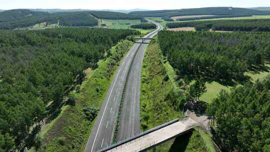 林区山区田野秋色公路道路汽车行驶