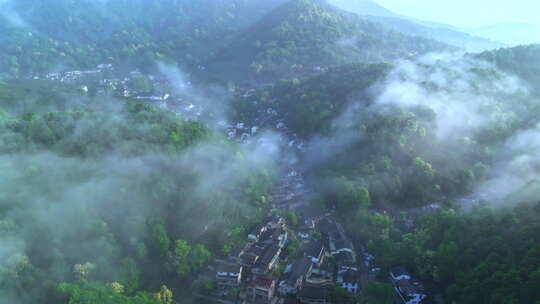 清晨山间森林弥漫着烟雾，茶山茶园村庄